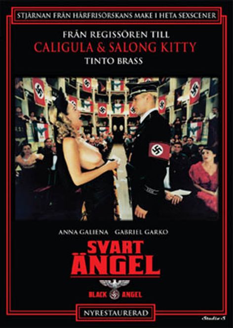 Huvudbild Svart ängel (DVD)