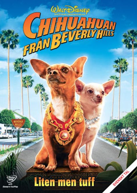 Huvudbild Chihuahuan från Beverly Hills (dvd) beg