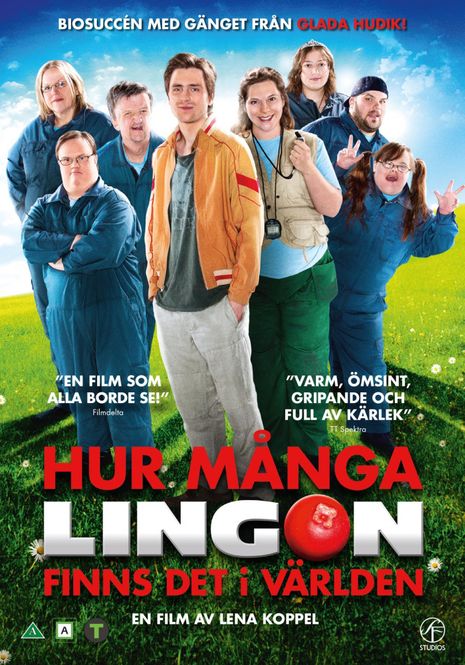 Huvudbild Hur många lingon finns det i världen ? (DVD) BEG