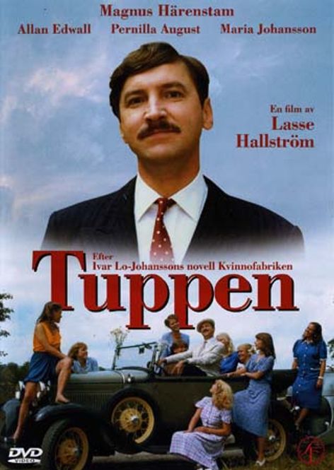 Huvudbild Tuppen - beg dvd